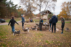 Rozendaalseveld 2018