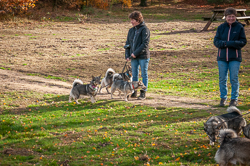 Rozendaalseveld 2018