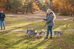 Rozendaalseveld 2018