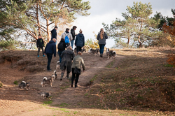 Rozendaalseveld 2018