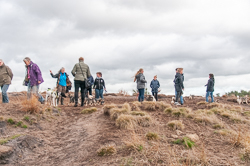 Rozendaalseveld 2018