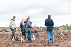 Rozendaalseveld 2018