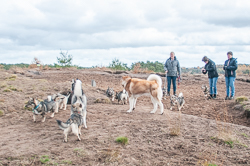 Rozendaalseveld 2018