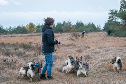 Rozendaalseveld 2018