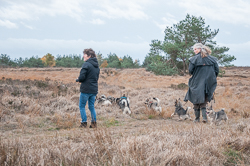 Rozendaalseveld 2018