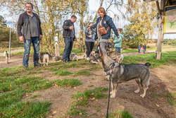 Rozendaalseveld 2019