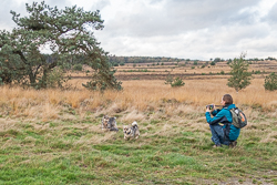 Rozendaalseveld 2019