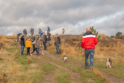 Rozendaalseveld 2019