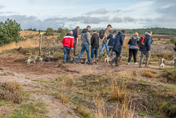 Rozendaalseveld 2019