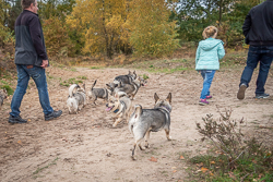 Rozendaalseveld 2019