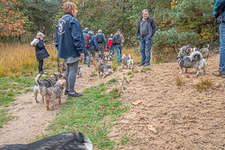 Rozendaalseveld 2019