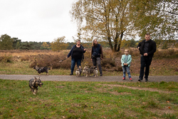 Rozendaalseveld 2019