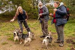 Rozendaalseveld 2019