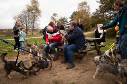 Rozendaalseveld 2019