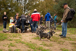 Rozendaalseveld 2019