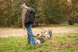 Rozendaalseveld 2019